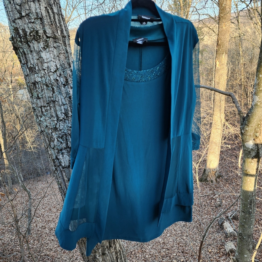 NWT Teal Sleeveless Dress with Sheer Overlay